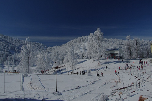 Kartepe